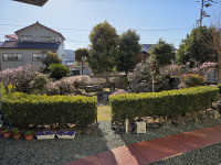 nakaniwa