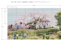 R7  第66回 壁面笹飾りアイデア・石畳東のシダレザクラ-3