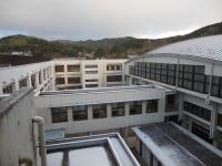 校舎と体育館の屋根にも雪がうっすら